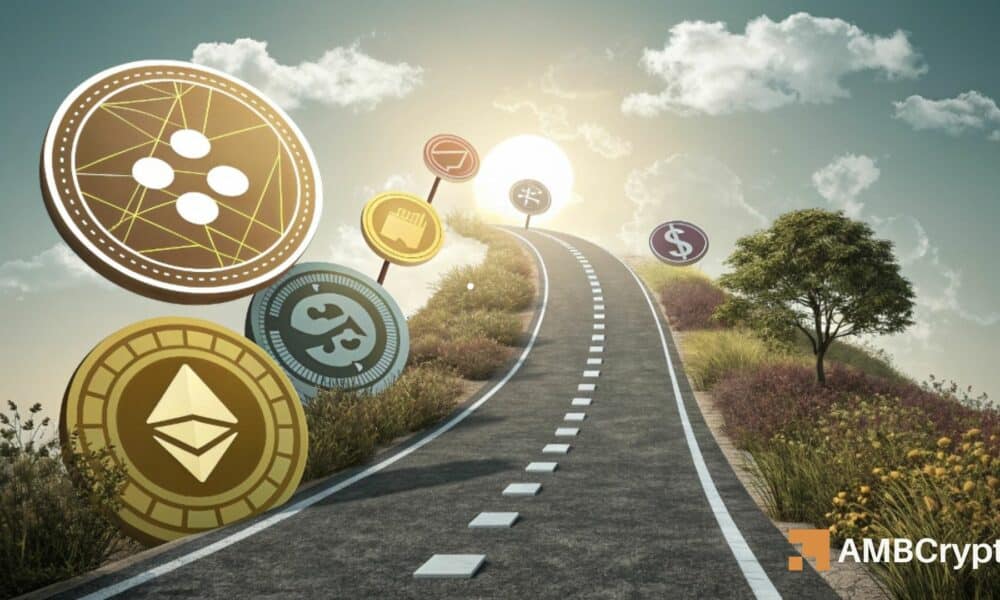 随着谷歌搜索量达到新高,山寨币是否会重现2021年的涨势?